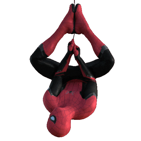 Spidy icon